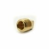 Thrifco Plumbing 1/2 Brass Plug Barstock 5316092